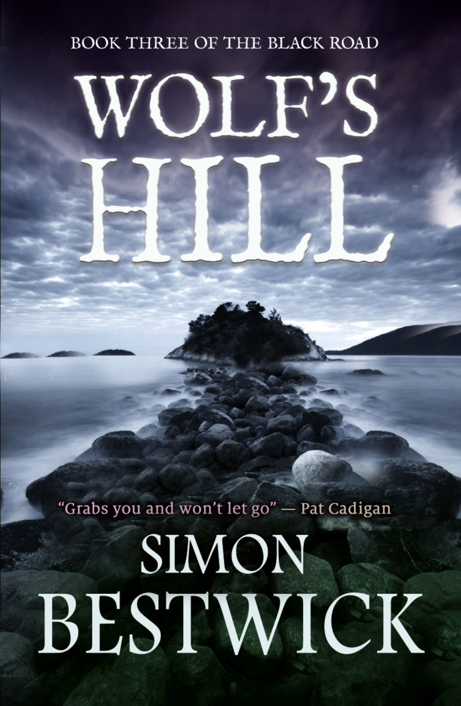 Cover of ISBN 9781911390503 Wolf's Hill